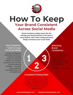 b2ap3 small PWD Brand Consistency Infographic v3